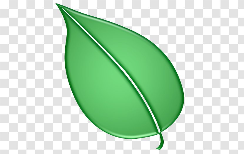 Leaf - Green Transparent PNG