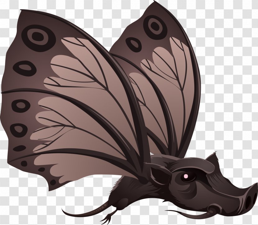 Butterfly Wild Boar Clip Art - Drawing Transparent PNG
