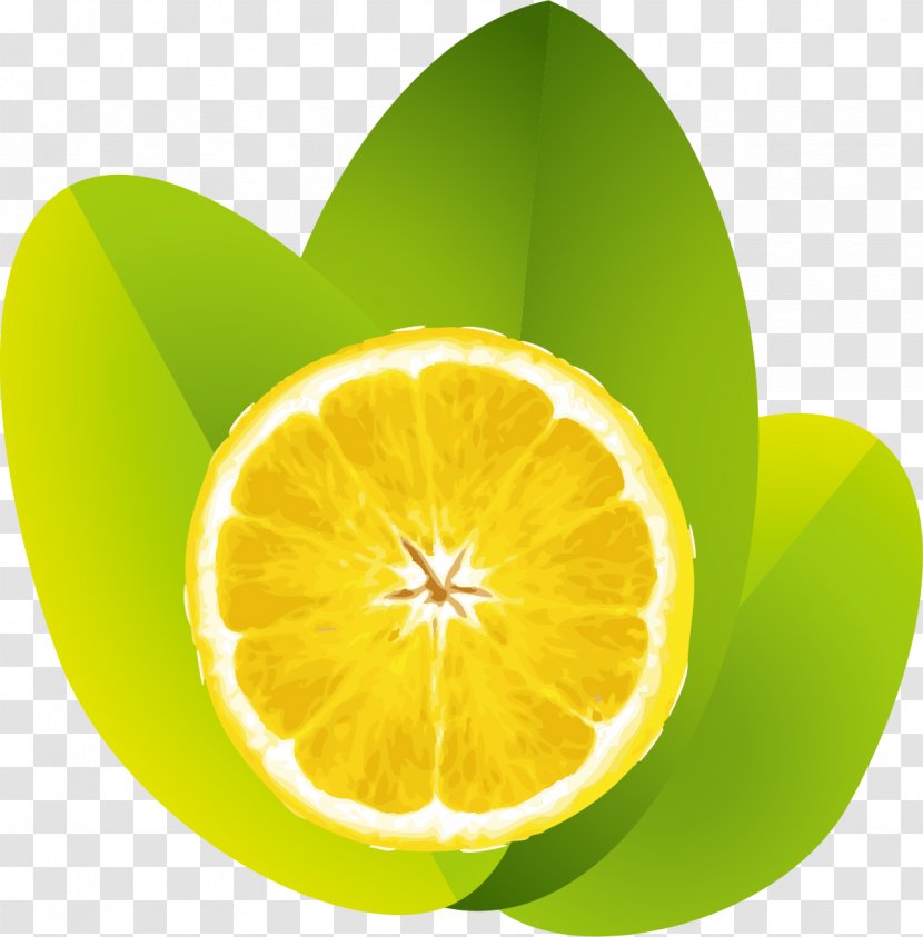 Lemon Juice Lime - Yellow - Fresh Transparent PNG