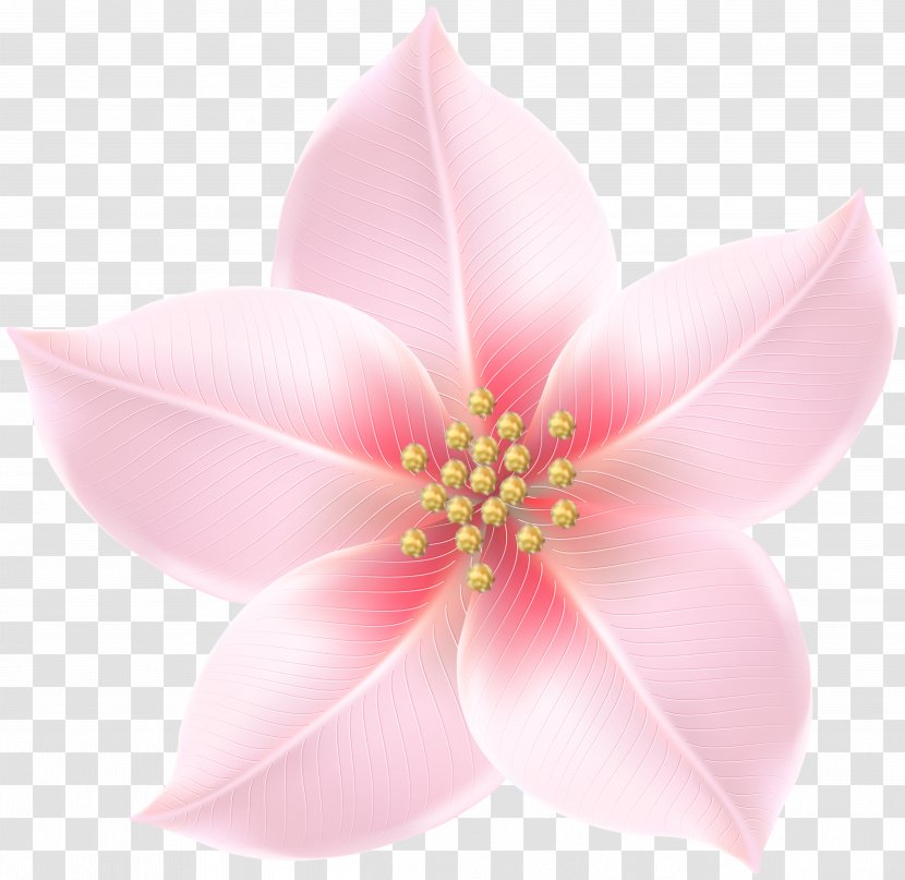 Pink M - Flower - And Gold Flowers Transparent PNG