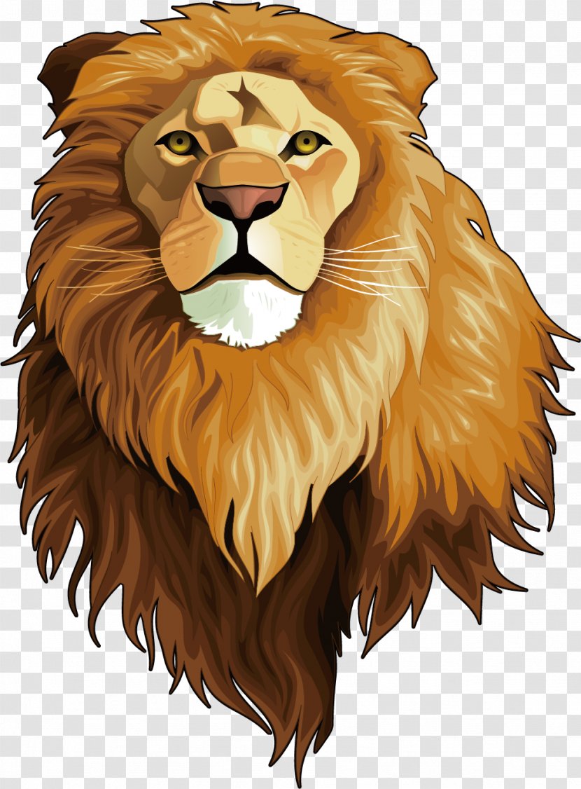 What Is A Carnivore? Omnivore Animal Herbivore - Terrestrial - The Lion King Avatar Transparent PNG