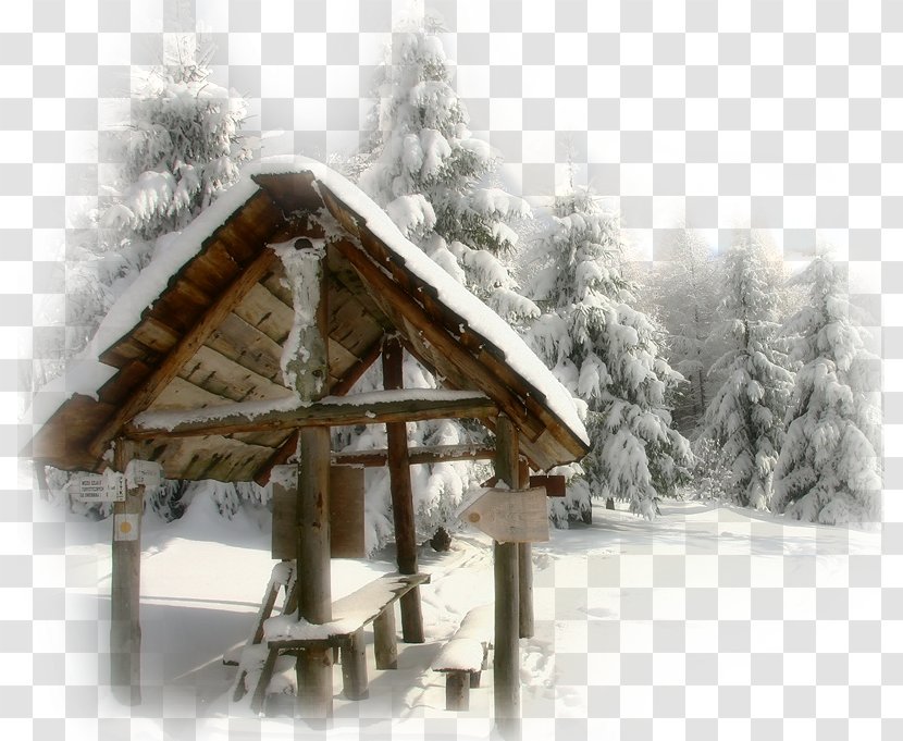Landscape Snow Desktop Wallpaper - Tree Transparent PNG