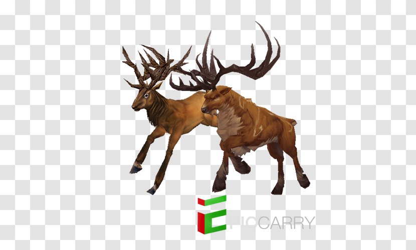 Reindeer Warlords Of Draenor Red Deer Elk - Wildlife Transparent PNG