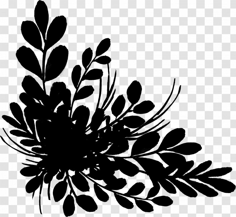 Chrysanthemum Black & White - M Floral Design Pattern Transparent PNG