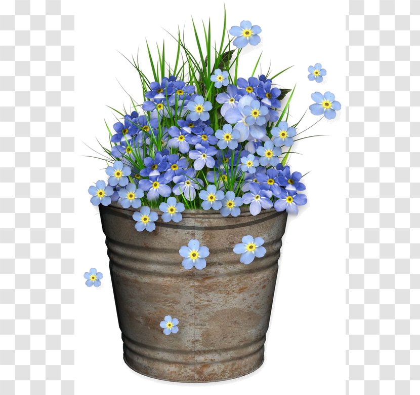 Flowerpot Floral Design Clip Art - Flowering Plant - Flower Transparent PNG