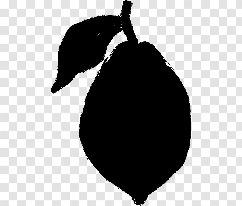 Black And White Lemon - Food Transparent PNG