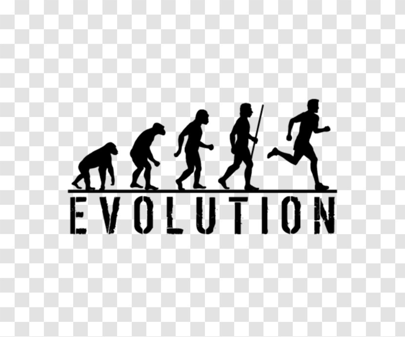 T-shirt Human Evolution Homo Sapiens Ape - Clothing - Beer Man Transparent PNG