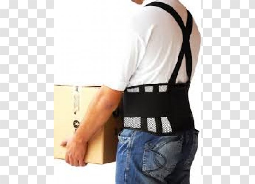 Human Factors And Ergonomics Personal Protective Equipment Lumbar Belt Back Pain - Tree - Rio Janeiro Transparent PNG