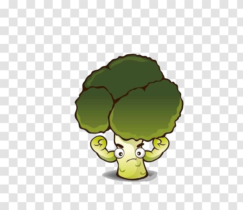 Broccoli Cartoon Vegetable - Cabbage - Cauliflower Transparent PNG