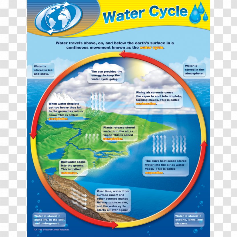 Water Cycle Chart Teacher Resource - Worksheet Transparent PNG