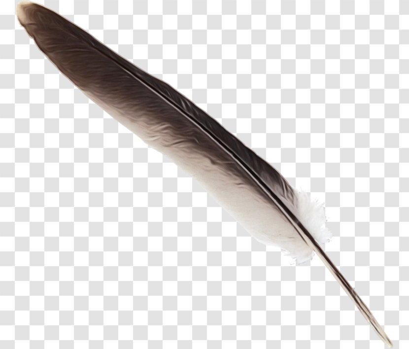 Writing Cartoon - Feather - Wing Implement Transparent PNG