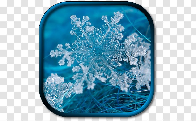 Snowflake Desktop Wallpaper Winter - Display Resolution Transparent PNG