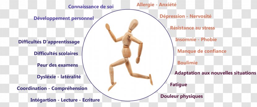 Elastic Therapeutic Tape Applied Kinesiology Naturopathy Christine GILET - Cartoon - Kinésiologie Et NaturopathieHealth Transparent PNG