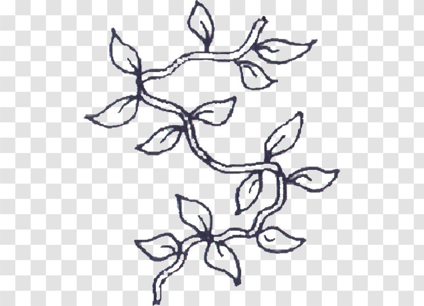 Coloring Book Vine Clip Art Drawing Image - Invertebrate - Child Transparent PNG