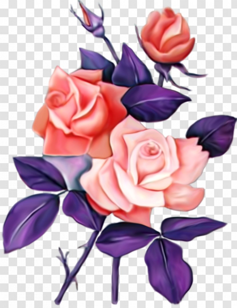 Garden Roses Paper Flower Floral Design Clip Art - Rose Family Transparent PNG