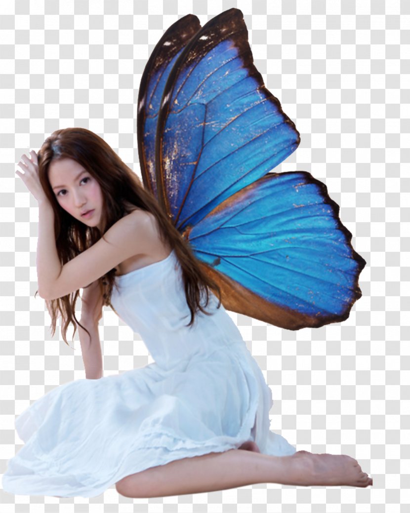 Butterfly Wing - Phengaris Alcon - Beauty With Blue Wings Transparent PNG