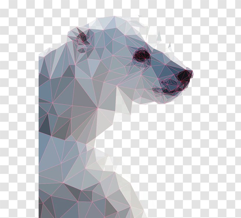 Polar Bear Illustration - Frame - Gradient Transparent PNG