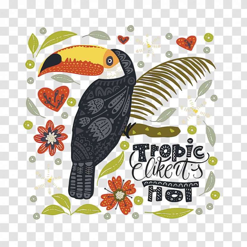 Bird Toucan Hornbill Piciformes Beak Transparent PNG