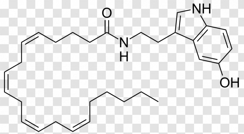 Arachidonoyl Serotonin Transporter 5-HT Receptor Fatty Acid - Black And White - Tryptophan Transparent PNG