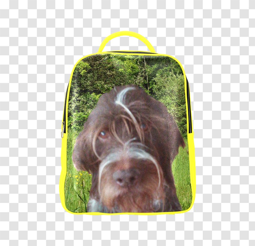Boykin Spaniel Wirehaired Pointing Griffon Picardy Field Český Fousek - Snout - Pointer DOG Transparent PNG