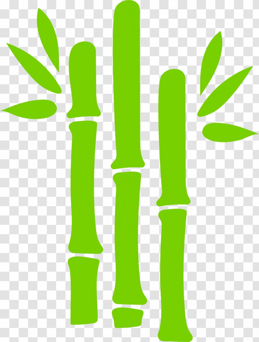 Green Bamboo Euclidean Vector - Leaf - Hand Painted Leaves Transparent PNG