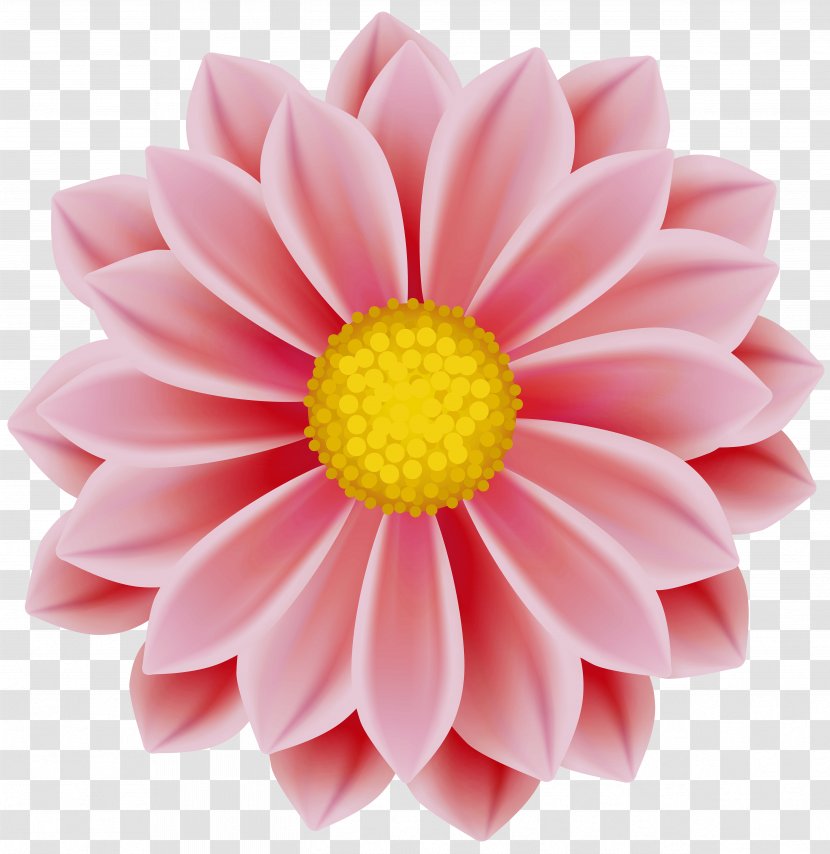 Clip Art Image Desktop Wallpaper Pink Flowers - Cut - Cranberry Red Transparent PNG