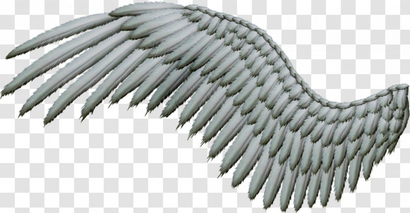 Sticker Clip Art - Rendering - Angel Wing Transparent PNG