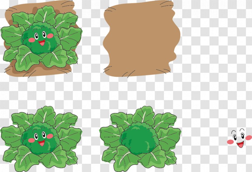 Broccoli Facial Expression Illustration - Flower - Vector Ground Transparent PNG
