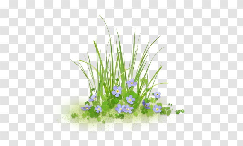 Sticker Flower Art Clip - Organism - Grass Family Transparent PNG