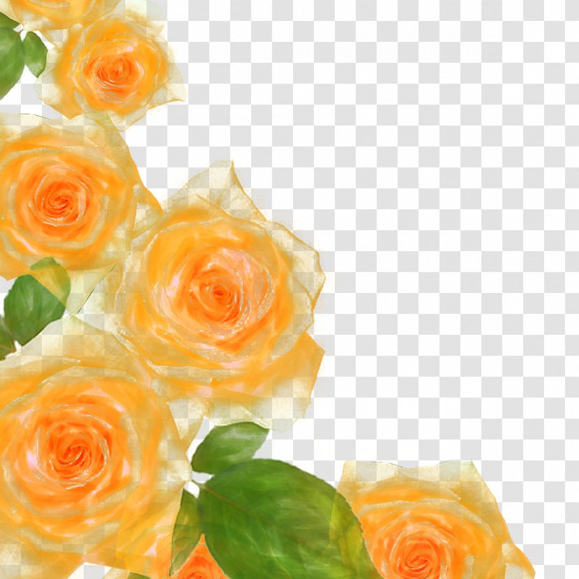 Flower Beach Rose Picture Frame Watercolor Painting - Yellow Roses Transparent PNG