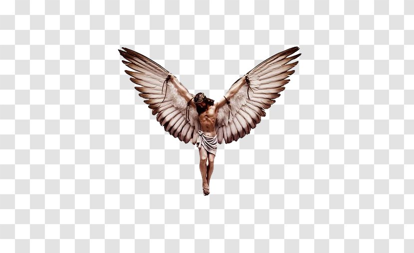 Art Fouts Nancy - Bird - Simple Jesus Wings Illustrator Transparent PNG