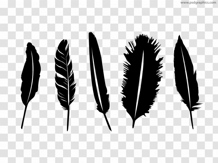 Feather Quill Silhouette - Black And White Transparent PNG