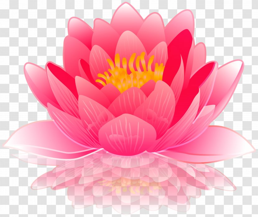 Water Lilies Computer File - Magenta - Pink Lily Clip Art Image Transparent PNG