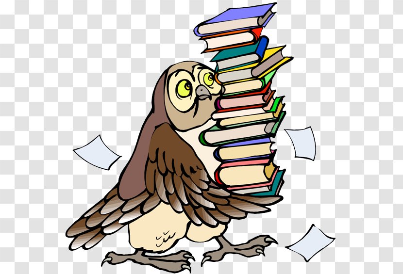 Owl Clip Art - Document Transparent PNG