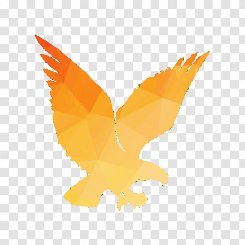 Beak Bird Of Prey Fauna Font - Logo - Wing Transparent PNG