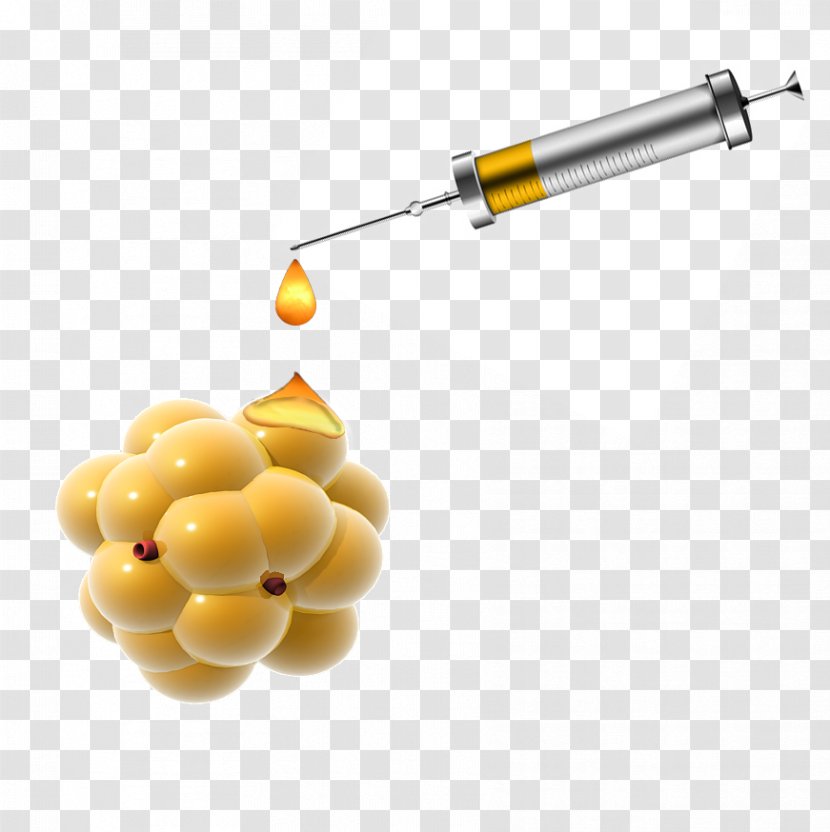 Injection Lipolysis Syringe Adipose Tissue Fat Transparent PNG