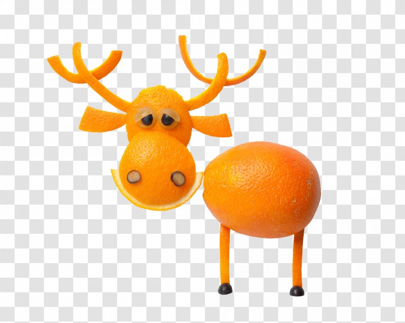 Mandarin Orange Reindeer Fruit - Google Images - Creative Deer Transparent PNG