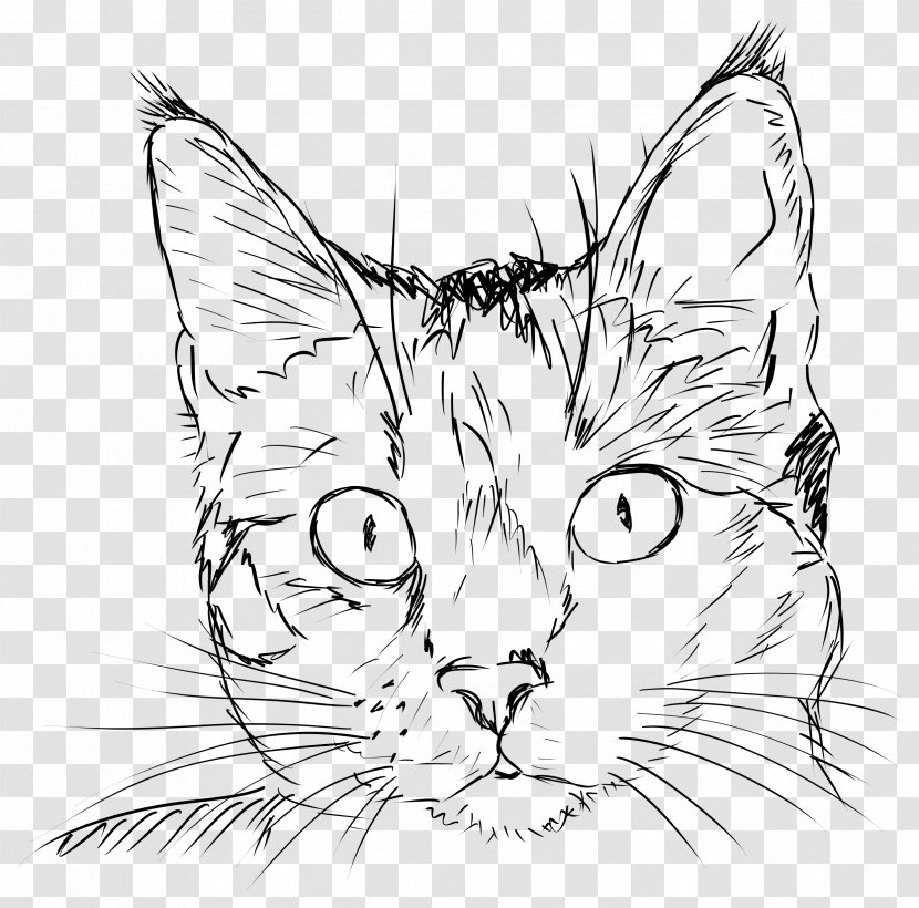 Cat Drawing Kitten Line Art - Tabby - Face Transparent PNG