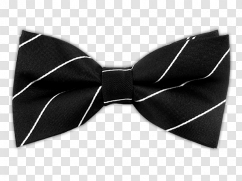 Bow Tie Necktie Handkerchief Shoelace Knot Clothing - Tree - Mens Bowtie Transparent PNG