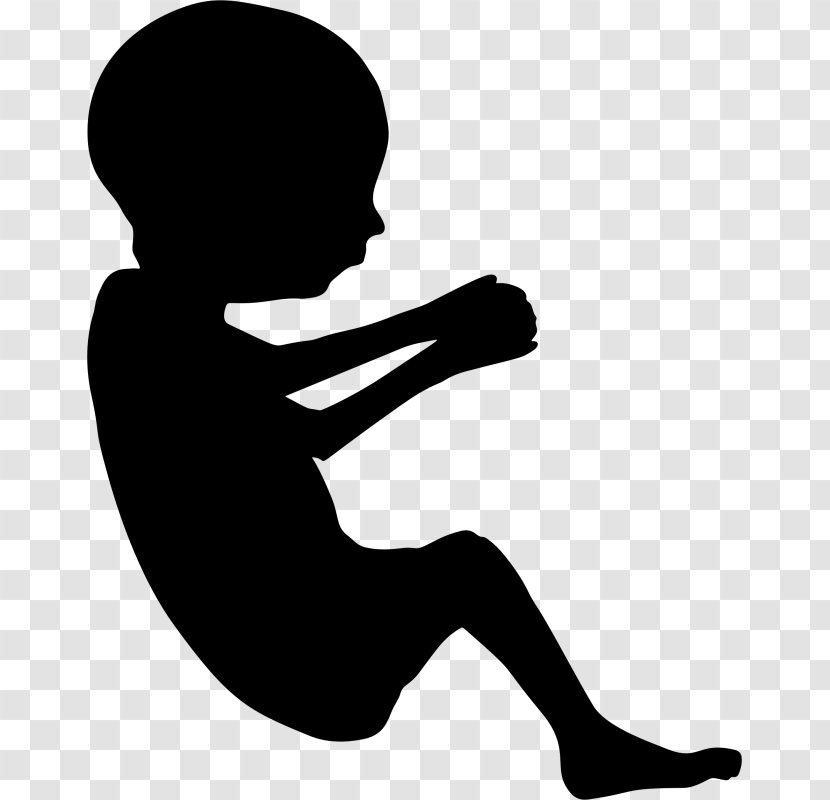 Fetus Pregnancy Silhouette Infant Transparent PNG