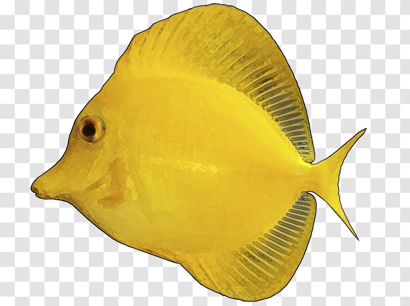 Yellow Tang Tropical Fish Clip Art - Beak - Aquarium Transparent PNG
