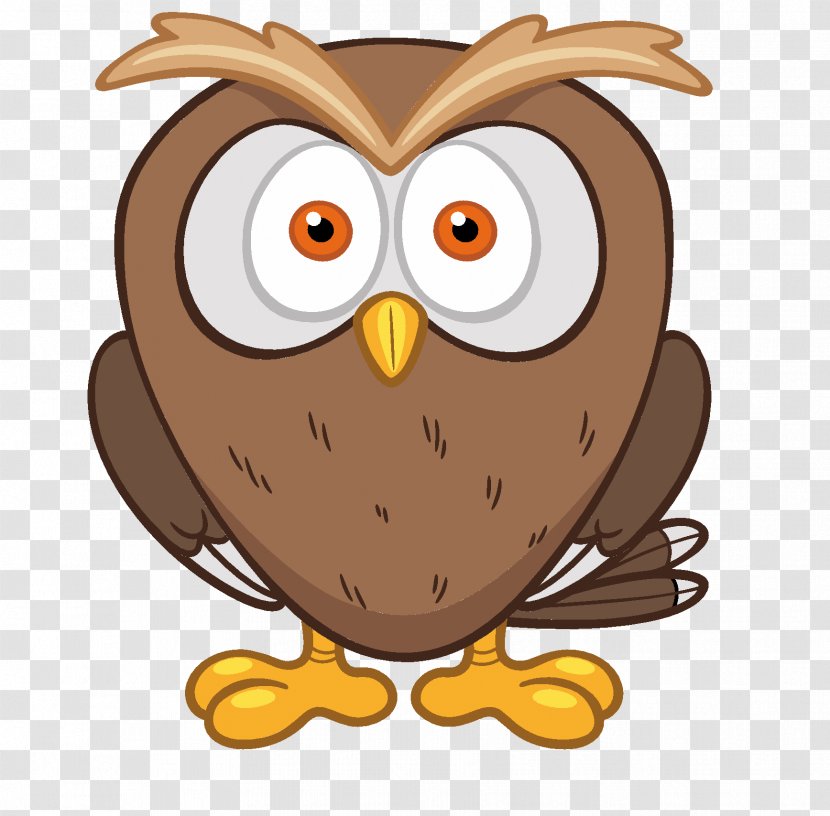 Education Photography - Royaltyfree - Cute Owl Transparent PNG