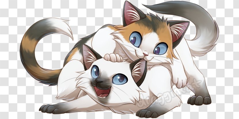 Kitten Ragdoll Whiskers Drawing Art - Frame - Rag Doll Transparent PNG