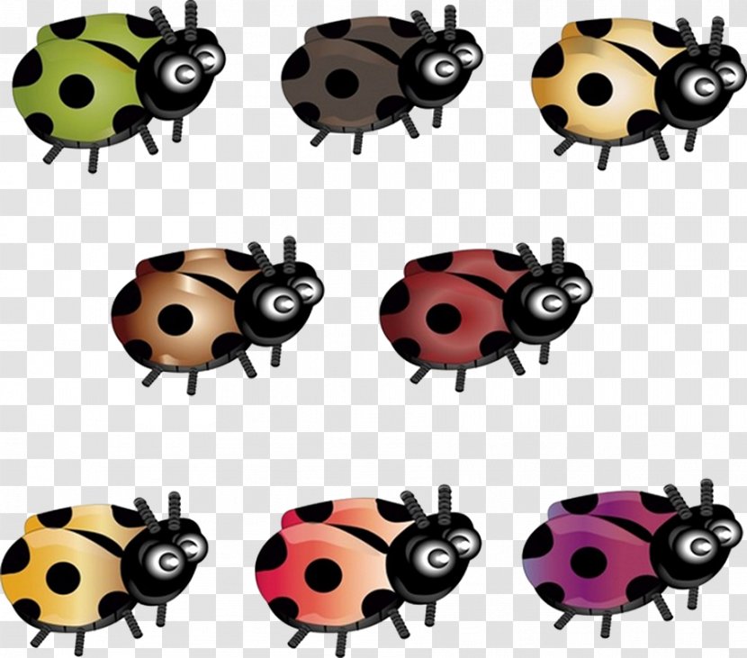 Beetle Ladybird Clip Art - Insect - Cartoon Transparent PNG