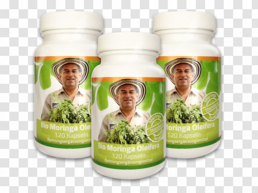 Herbalism Superfood Drumstick Tree - Moringa Transparent PNG