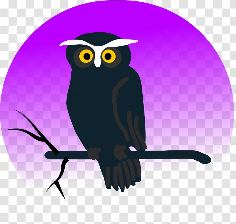 Owl Halloween Animation Clip Art Transparent PNG