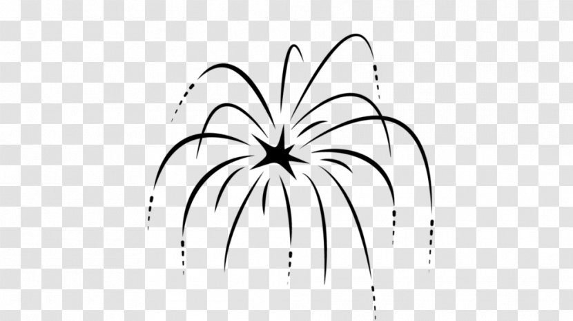 Drawing Butterfly - Beautiful Fireworks Transparent PNG