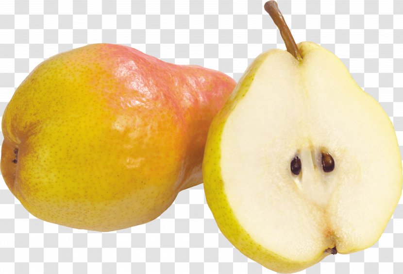 Pear Fruit Pome - Image Viewer - Fruits Transparent PNG