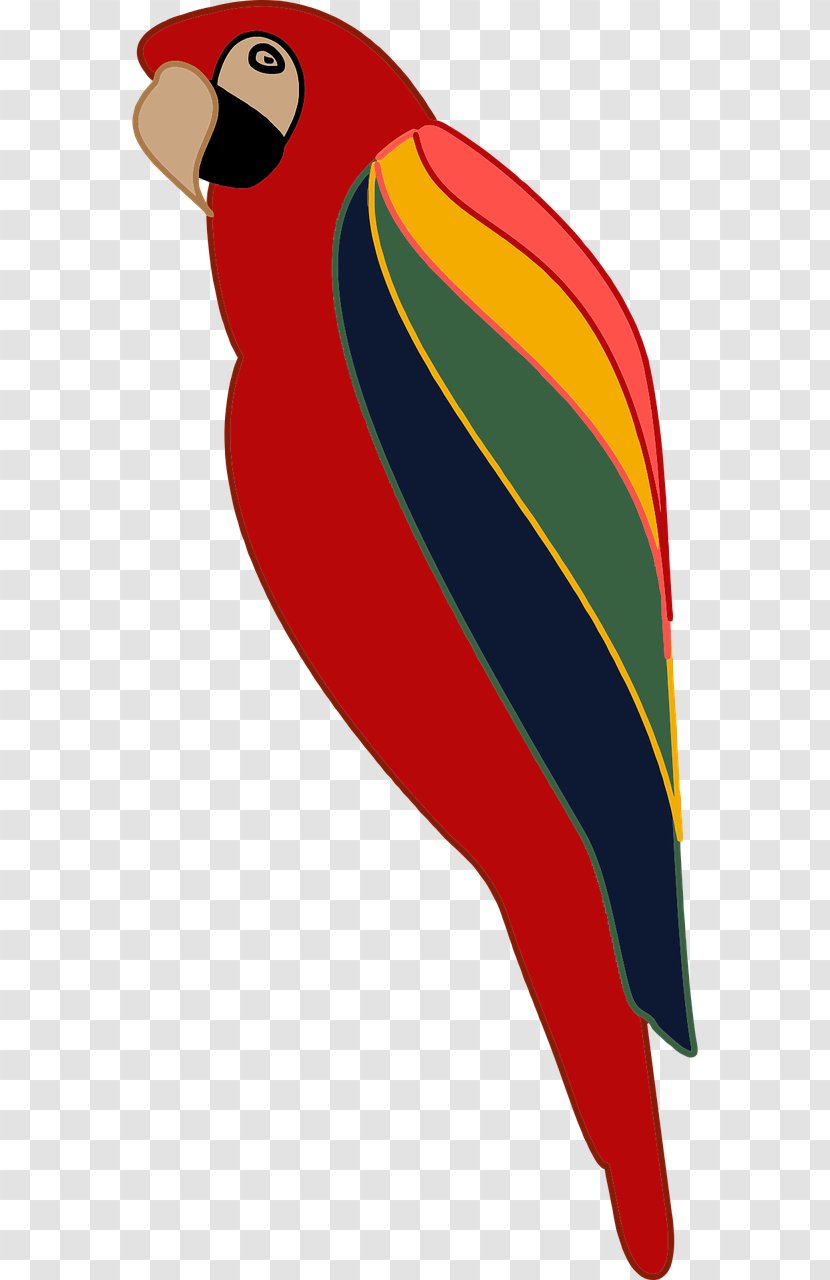 Parrot Clip Art - Wing Transparent PNG