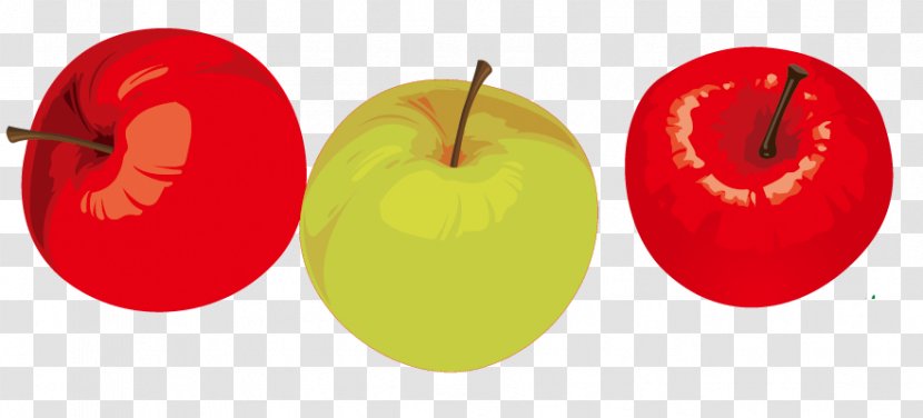 Apple Auglis Euclidean Vector Clip Art - Fruit - Cartoon Painted Transparent PNG
